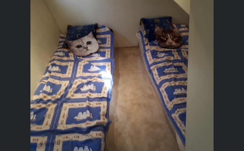 Sunseeker Martinique 39-kuva-4